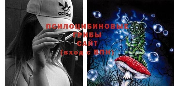 спиды Навашино